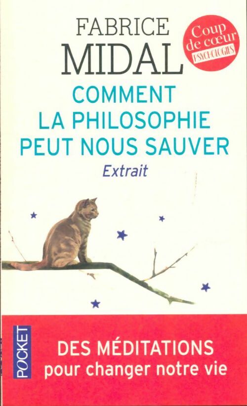 Livrenpoche : Comment la philosophie peut nous sauver (extraits) - Fabrice Midal - Livre