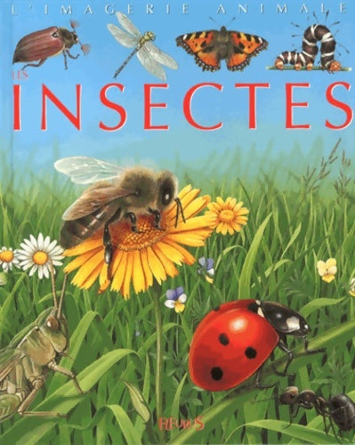 Livrenpoche : Les Insectes : Pour les faire connaître aux enfants - Emilie Beaumont - Livre
