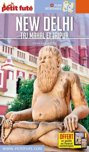 Livrenpoche : Guide New Delhi 2017 Petit Futé - Dominique Auzias - Livre