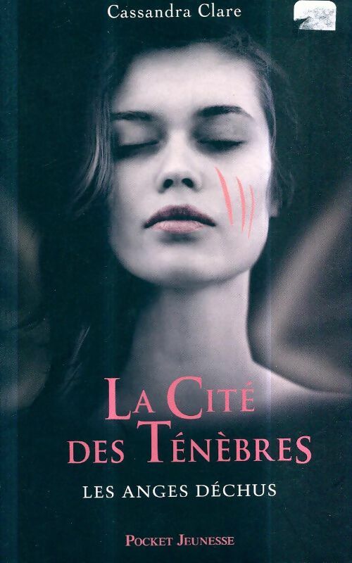 Livrenpoche : 4. La cité des Ténèbres : Les Anges déchus - Cassandra Clare - Livre
