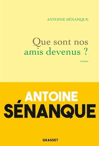 Livrenpoche : Que sont nos amis devenus ? - Antoine Sénanque - Livre