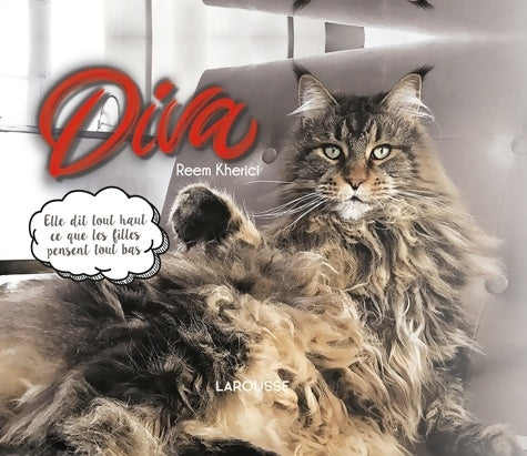 Livrenpoche : Diva - Reem Kherici - Livre