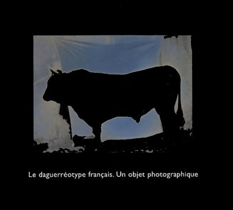 Livrenpoche : La Daguerréotype français. Un objet photographique - Collectif - Livre