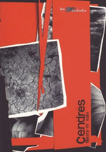 Livrenpoche : Cendres - Thierry Di Rollo - Livre