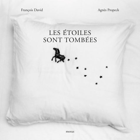 Livrenpoche : Les étoiles sont tombées - François David - Livre