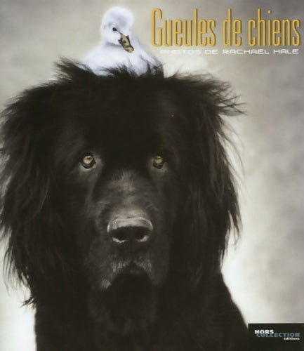 Livrenpoche : Gueules de chiens (ancien prix editeur : 13 euros ) - Rachael Hale - Livre