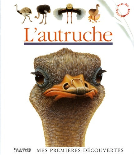 Livrenpoche : L'autruche - Collectif - Livre