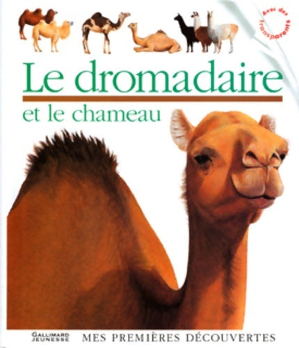 Livrenpoche : Le dromadaire et le chameau - Collectif - Livre