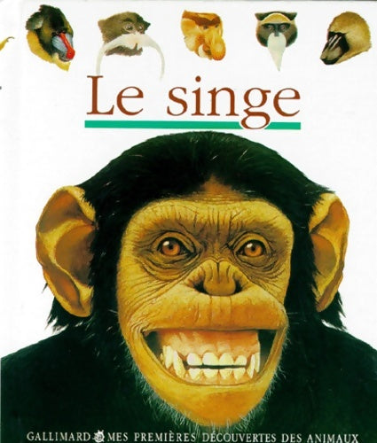 Livrenpoche : Le singe - Collectif - Livre