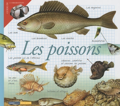 Livrenpoche : Les poissons : Largeur 249 mm - Maria-Angels Julivert - Livre