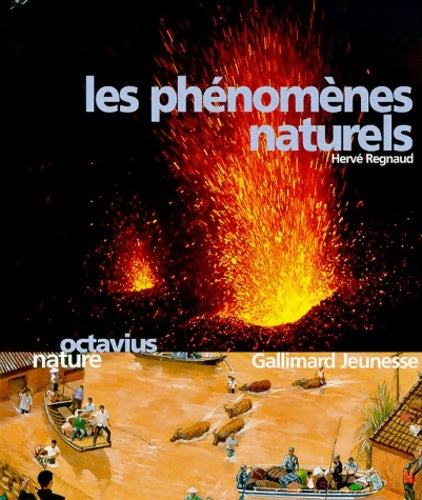 Livrenpoche : Les phénomènes naturels - Hervé Regnaud - Livre