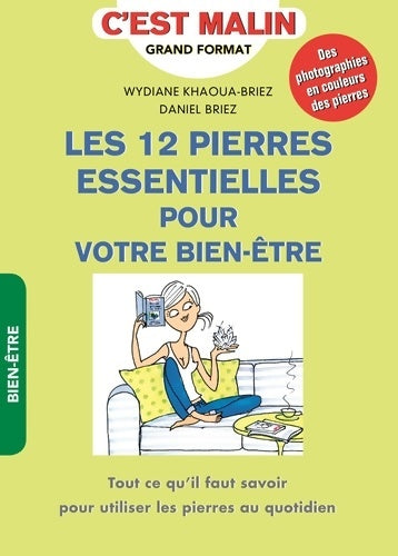 Livrenpoche : Les 12 pierres essentielles pour votre bien-être c'est malin - Daniel Briez - Livre