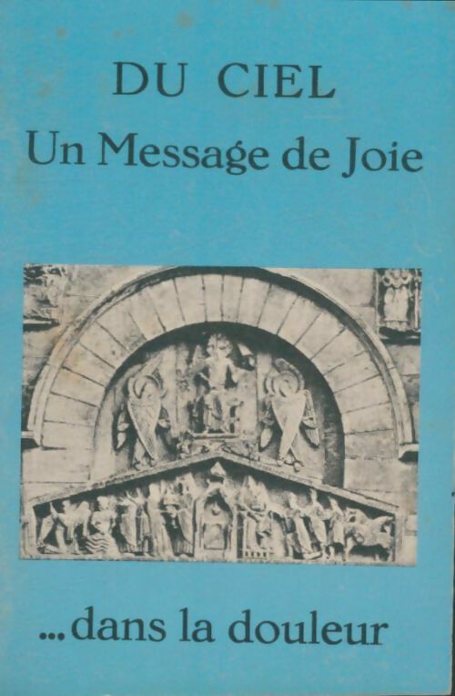 Livrenpoche : Du ciel un message de joie dans la douleur - Collectif - Livre