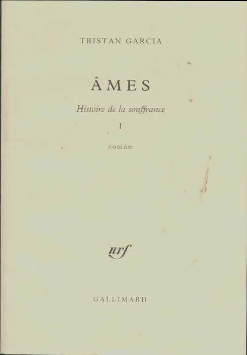 Livrenpoche : Histoire de la souffrance i : Âmes - Tristan Garcia - Livre