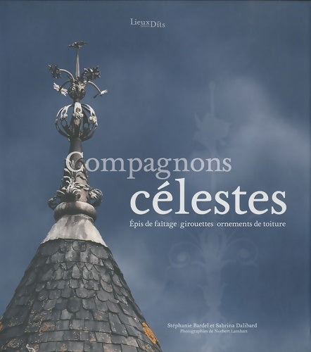 Livrenpoche : Compagnons Celestes - AMET Alain - Livre