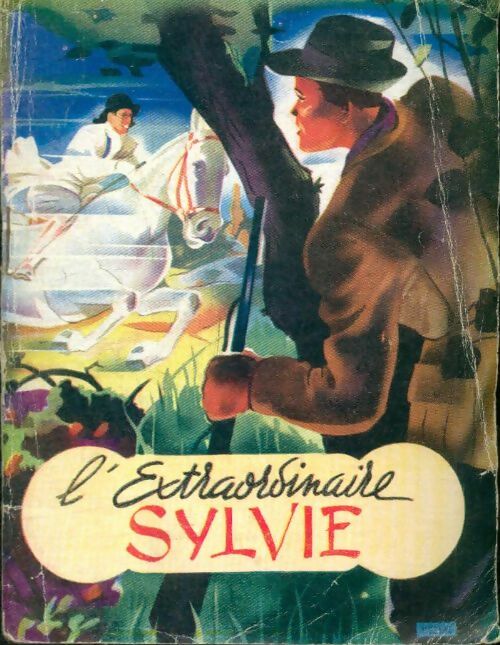 Livrenpoche : L'extraordinaire Sylvie - Suzanne Mercey - Livre