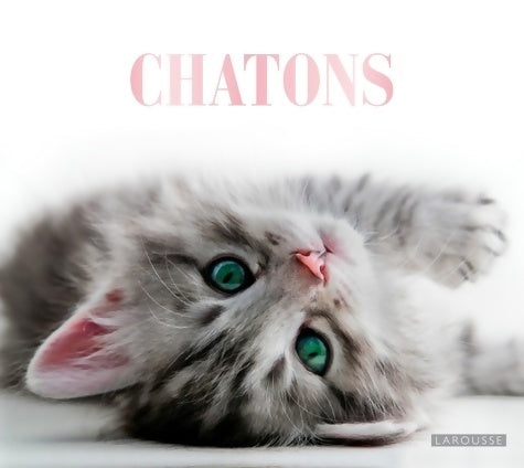 Livrenpoche : Chatons - Collectif - Livre