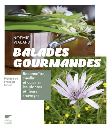Livrenpoche : Balades gourmandes : Reconnaître cueillir et cuisiner les plantes et fleurs sauvages - Noémie Vialard - Livre