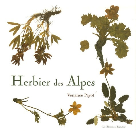 Livrenpoche : Herbier des Alpes - Venance Payot - Livre