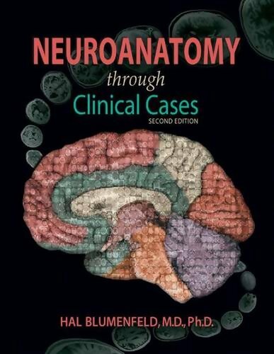 Livrenpoche : Neuroanatomy through clinical cases - Hal Blumenfeld - Livre