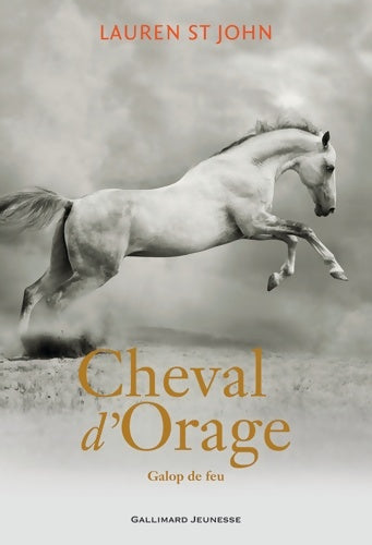 Livrenpoche : Cheval d'Orage - Lauren St John - Livre