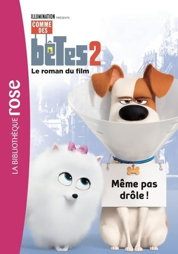 Livrenpoche : Comme des bêtes 2 - Le roman du film - Universal Studios - Livre