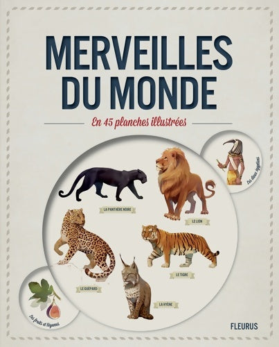 Livrenpoche : MERVEILLES DU MONDE EN 45 PLANCHES illustrées - Jérôme Pelissier - Livre