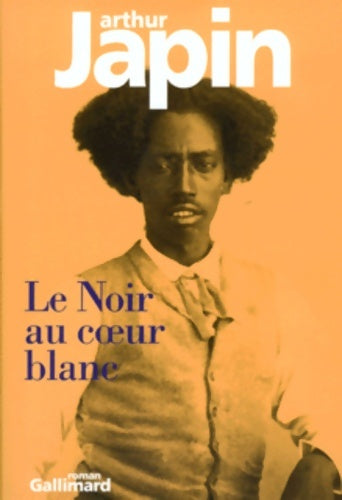 Livrenpoche : Le Noir au coeur blanc - Arthur Japin - Livre