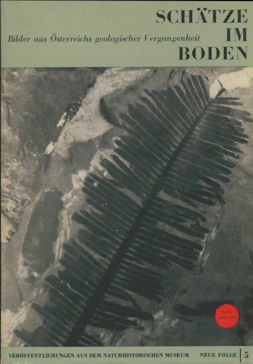 Livrenpoche : Schätze im Boden - Collectif - Livre