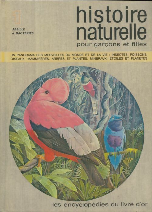 Livrenpoche : Histoire naturelle pour garçons et filles Tome I - Collectif - Livre