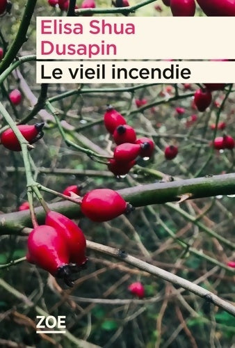 Livrenpoche : Le vieil incendie - Élisa Shua Dusapin - Livre