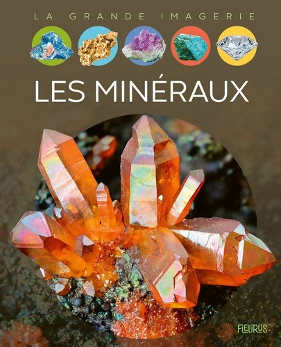 Livrenpoche : Les minéraux - Philippe Simon - Livre