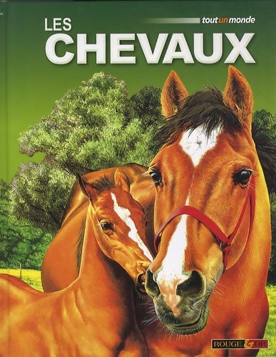 Livrenpoche : Les chevaux - Jackie Budd - Livre