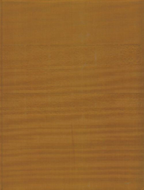 Livrenpoche : Dictionnaire des églises de France Tome III - Collectif - Livre