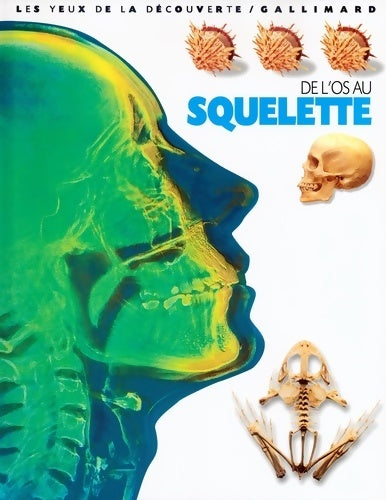 Livrenpoche : De l'os au squelette - Steve Parker - Livre