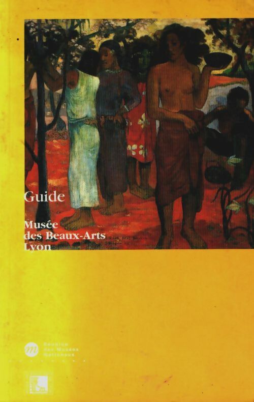 Livrenpoche : guide Musée beaux arts Lyon - Collectif - Livre
