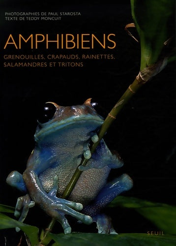 Livrenpoche : Amphibiens : Grenouilles crapauds rainettes salamandres et tritons - Paul Starosta - Livre