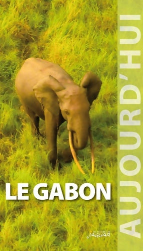 Livrenpoche : Le gabon - Mylene Remy - Livre