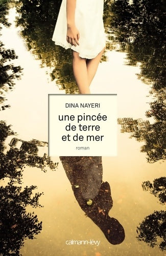 Livrenpoche : Une pincée de terre et de mer - Dina Nayeri - Livre