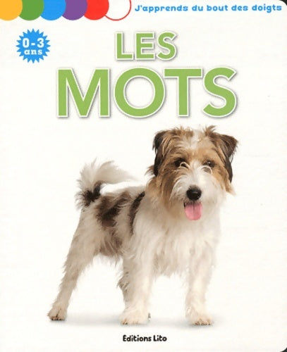 Livrenpoche : J'Apprends du Bout des Doigts : Les Mots - De 0 à 3 ans - Lito - Livre