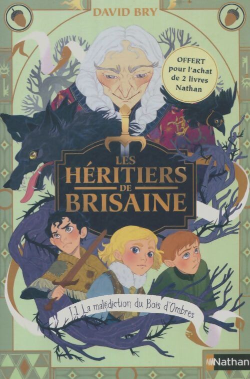 Livrenpoche : Les héritiers de Brisaine Tome I : La malédiction du bois d'ombres - David Bry - Livre