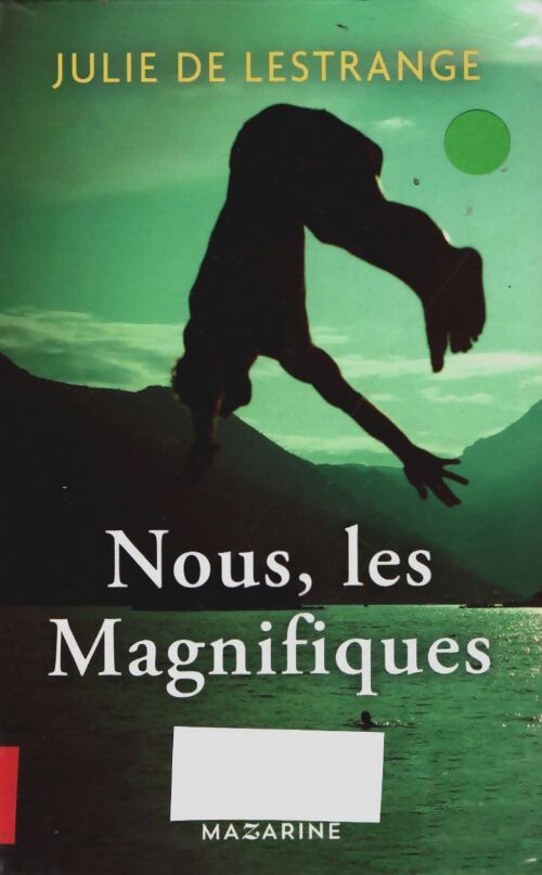 Livrenpoche : Nous les magnifiques - Julie De Lestrange - Livre