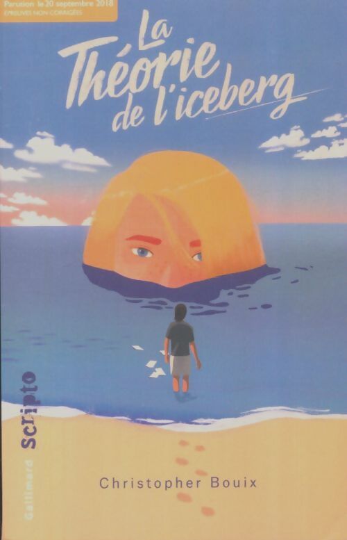 Livrenpoche : La théorie de l'iceberg - Christopher Bouix - Livre