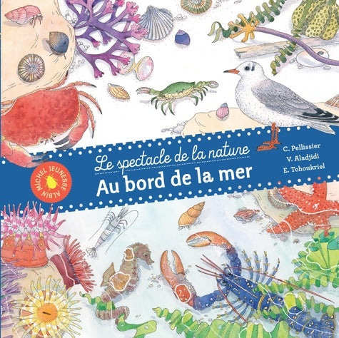 Livrenpoche : Au bord de la mer - Virginie Aladjidi - Livre