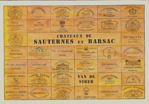 Livrenpoche : Châteaux de Sauterne et Barsac - Yan De Siber - Livre