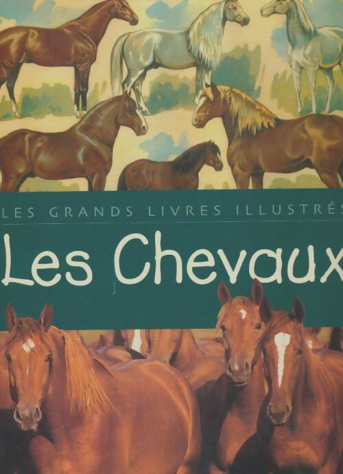Livrenpoche : Les chevaux - Collectif - Livre