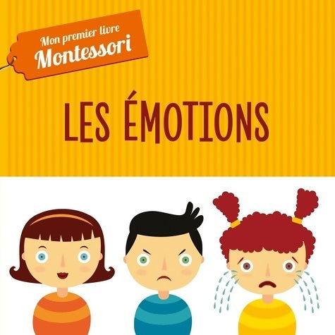 Livrenpoche : Mon premier livre Montessori - Les émotions - Chiara Piroddi - Livre