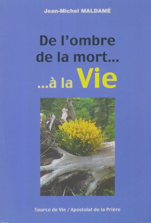 Livrenpoche : De l'ombre de la mort à la vie - Jean-Michel Maldamé - Livre