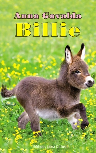 Livrenpoche : Billie - Anna Gavalda - Livre