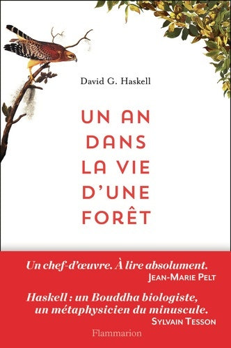 Livrenpoche : Un an dans la vie d'une forêt - David G. Haskell - Livre